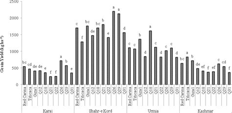 Grain Yield Of Quinoa Genotypes In Different Environments Means