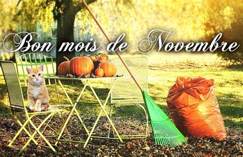 Novembre Images Photos Et Illustrations Pour Facebook