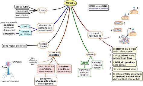 Mappe Per La Scuola VIRUS