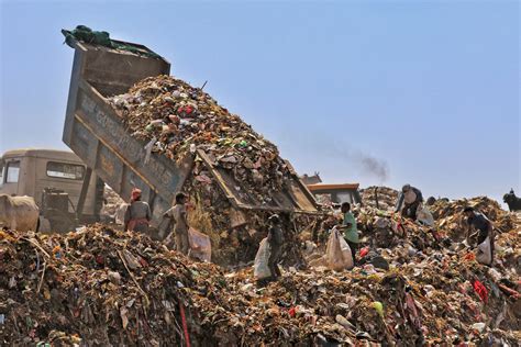 Harmful Effects Of Not Recycling