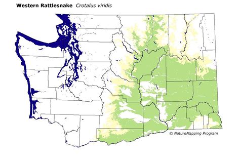 Rattlesnake Mountain Gun Range at Lois Rogers blog