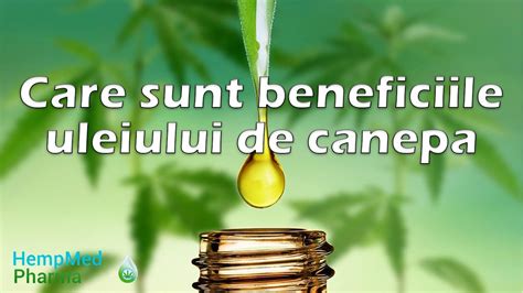 Care Sunt Beneficiile Uleiului De Canepa HempMedPharma YouTube