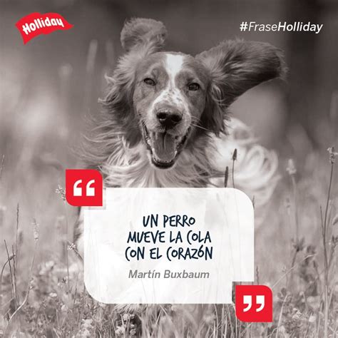 Top Imagen El Amor De Un Perro Frases Abzlocal Mx