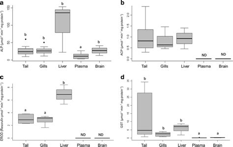 Enzymatic Activity Of A Alkaline Phosphatase Alp B Acid Phosphatase Download Scientific