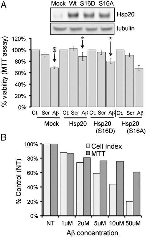 Cell Viability Assays To Monitor Aβ142 Mediated Cytotoxicity A The