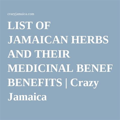 LIST OF JAMAICAN HERBS AND THEIR MEDICINAL BENEFITS Jamaican Recipes