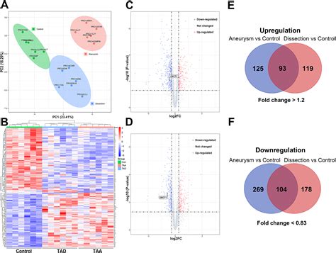 Tandem Mass Tag Based Quantitative Proteomic Analysis Identification Of