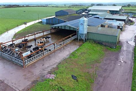 Shrink Or Expand Its All About The Return On Irish Dairy Farm