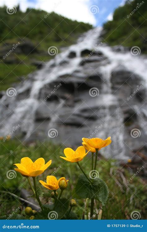 Waterfall stock image. Image of field, happiness, colors - 1757139