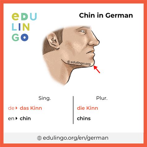 Chin In German Writing And Pronunciation With Pictures