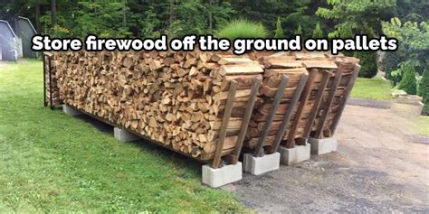 How To Store Firewood To Avoid Termites Useful 10 Ways 2024