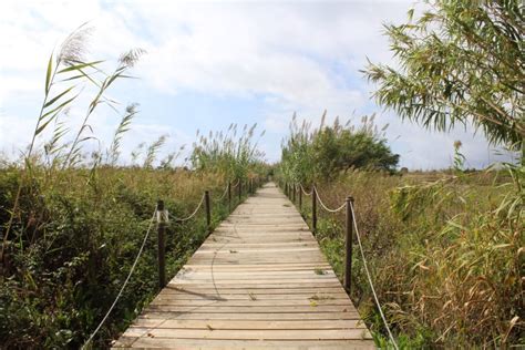 Delta del Llobregat paraíso natural al lado de Barcelona EscapadaRural