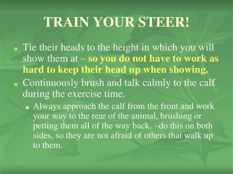 Steer Selection Ppt Download