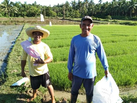 24 355 Farmers In Calabarzon Receive Free Seeds Fertilizers Through Da’s Rrp Department Of