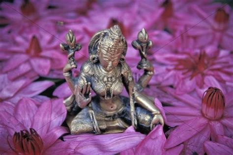 Goddess Lakshmi Hindu Goddess Of Fortune And Beauty Lotus Flowers