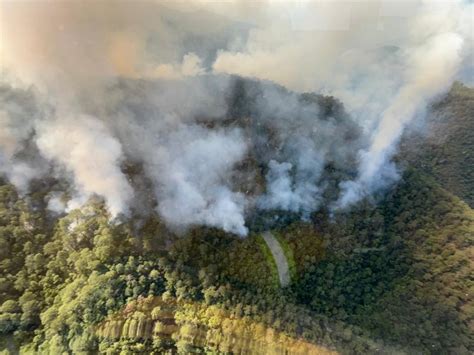 La Jornada Incendios Forestales Consumen Miles De Hectáreas En El