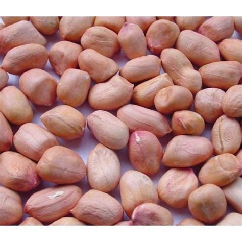 Hps Groundnut Kernels Packaging Size Kg To Kg Jute Pp Bags At