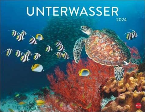 Unterwasser Posterkalender Kalender Jpc