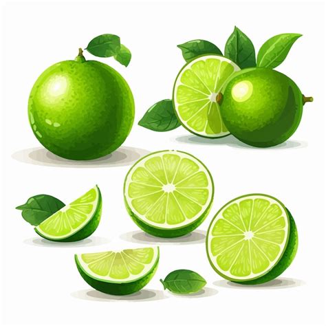 Um conjunto de autocolantes lime diferentes combinações de frutas e