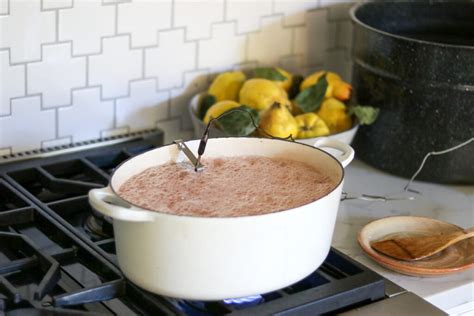 Quince Jelly - Creative Canning