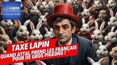 Taxe Lapin Quand Gabriel Attal Prend Les Fran Ais Pour Des Pigeons