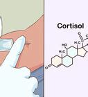 Comment réduire son taux de cortisol 14 étapes