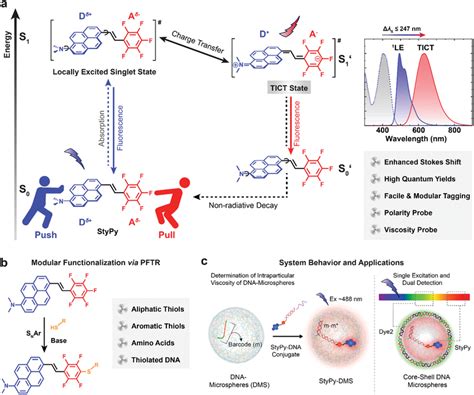 Rational Design Of A Clickable And Modular Molecular Sensor Based On