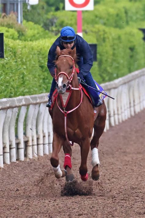 【nhkマイルc】ホウオウアマゾンが武豊背に53秒6 「すごい乗りやすい馬」 Umatoku 馬トク