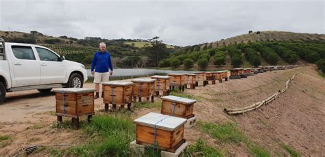 Barker Bee Raw Honey 500g The Sooq