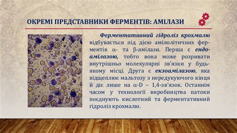 Презентація "Ферменти"