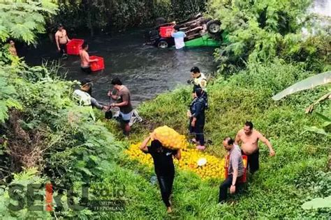 Mobil Pickup Muatan Jeruk Terperosok Ke Sungai Di Gondanglegi