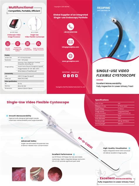 Flyer Cysto Engl Pdf Video Computer Engineering