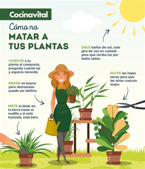 4 Errores Al Cuidar Plantas Que Debes Evitar Para No Matarlas Cuidado