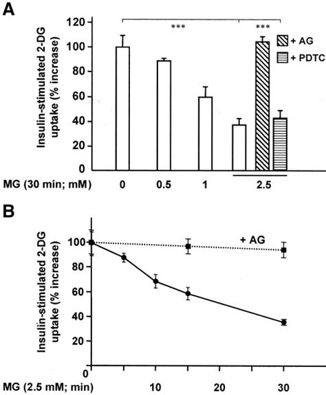 Methylglyoxal MG Action On 2 Deoxy D Glucose Uptake In L6 Cells L6