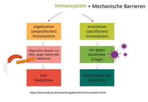 Immunologie Teil 1 Karteikarten Quizlet