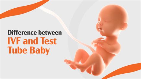 Difference Between IVF And Test Tube Baby Banker IVF Hospital