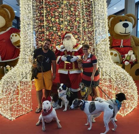 O que vestir ou NÃO vestir em nossos pets nas festas de fim de ano