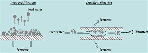 Dead End Versus Crossflow Filtration Download Scientific Diagram