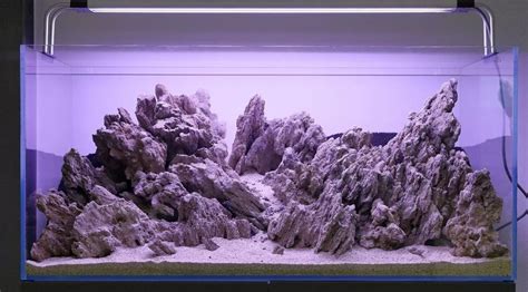 17 Best Rocks For Freshwater Aquarium In 2023 Aquariumistics