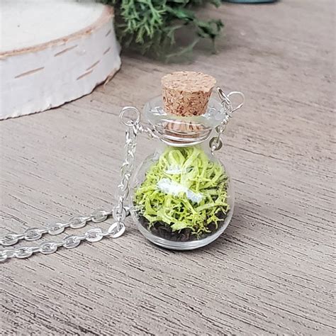 Terrarium Jewelry Etsy