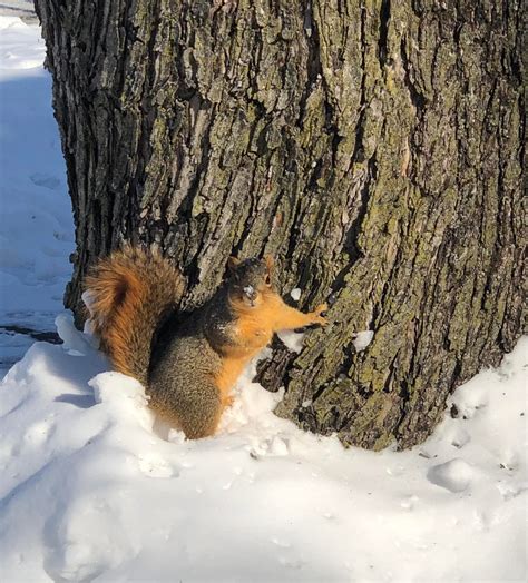 Christena Reckless added a new photo. - Christena Reckless