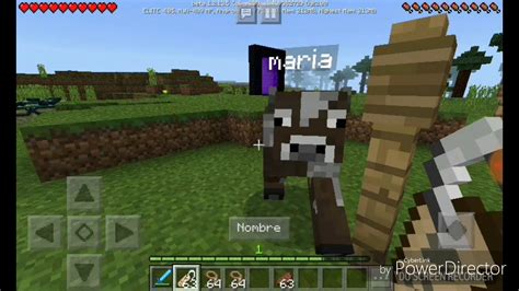 Como Ponerle Nombre A Tus Mascotas Minecraft Youtube