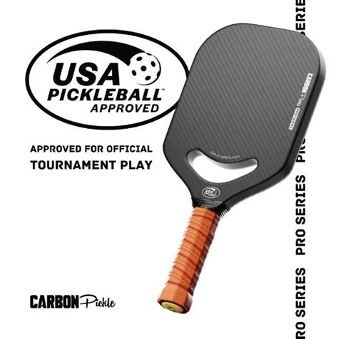 A Beginners Guide To Buying The Best Pickleball Paddles Theamberpost