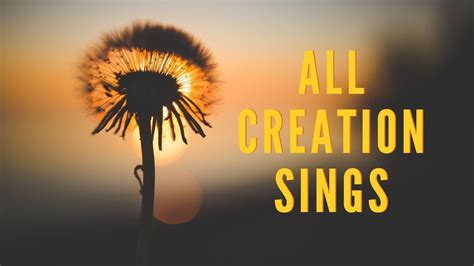 All Creation Sings Worship Word Weekly Devotional 19 06 2020