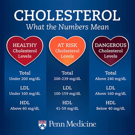 Cholesterol Levels Chart By Age