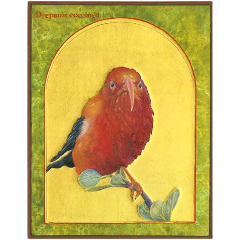 Hawaiian Honeycreeper Print — Angela Manno