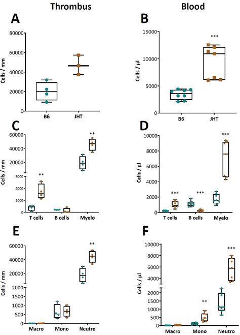 B Lymphocyte Deficiency In Mice Promotes Venous Thrombosis Heliyon