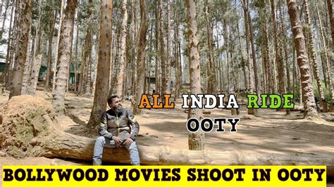 15 Bollywood Movies Shot in Ooty తలగ Movie shooting Pine forest