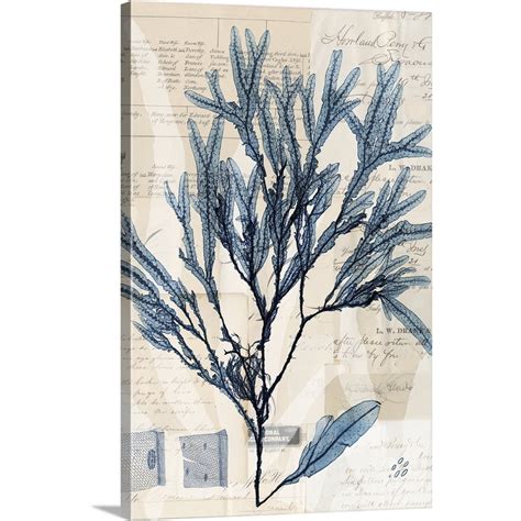 Seaweed Arrangement I Canvas Wall Art Coastal Home Decor 16x24