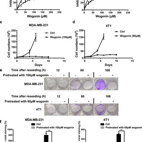 Wogonin Induced Persistent Growth Inhibition In Breast Cancer Cells A